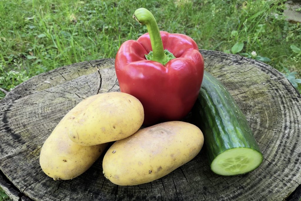 Auf einem abgeschnittenen Baumstumpf vor grünem Hintergrund steht eine rote Paprika, davor liegen drei Kartoffeln, neben der Paprika eine halbe Gurke.